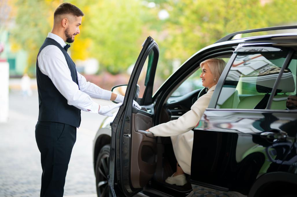 Chauffeur Services In Vienna 5 Booking Tips 